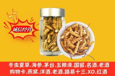 乌兰县回收散虫草