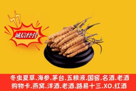 乌兰县名酒回收冬虫夏草.jpg